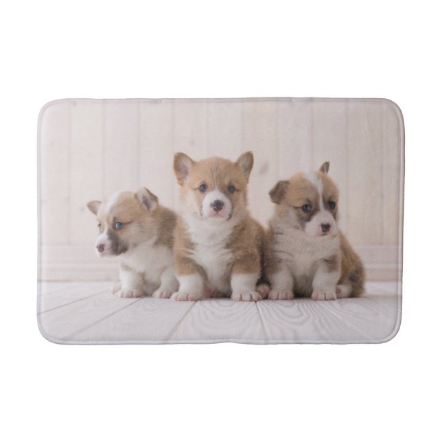 Cutest Baby Animals | 3 Baby Corgis Bath Mat (Front)