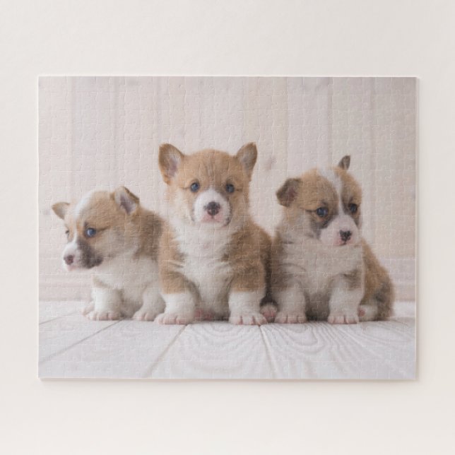 Cutest Baby Animals | 3 Baby Corgis Jigsaw Puzzle (Horizontal)