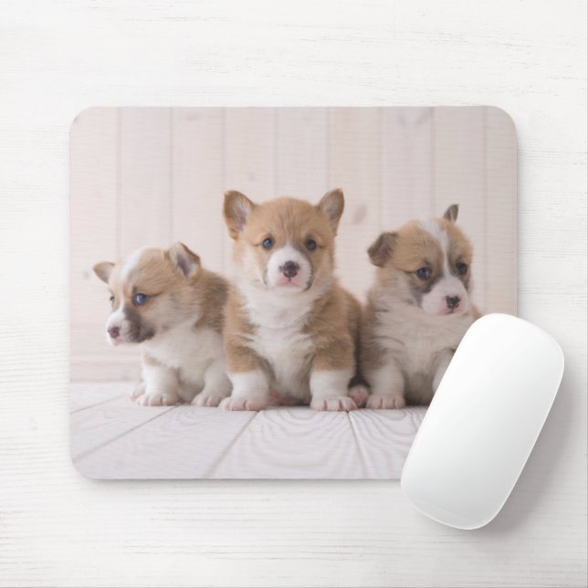 Cutest Baby Animals | 3 Baby Corgis Mouse Pad (With Mouse)