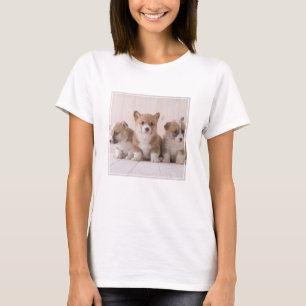 Cutest Baby Animals   3 Baby Corgis T-Shirt