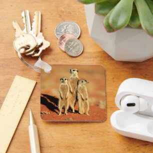 Cutest Baby Animals 3 Meerkats Key Ring