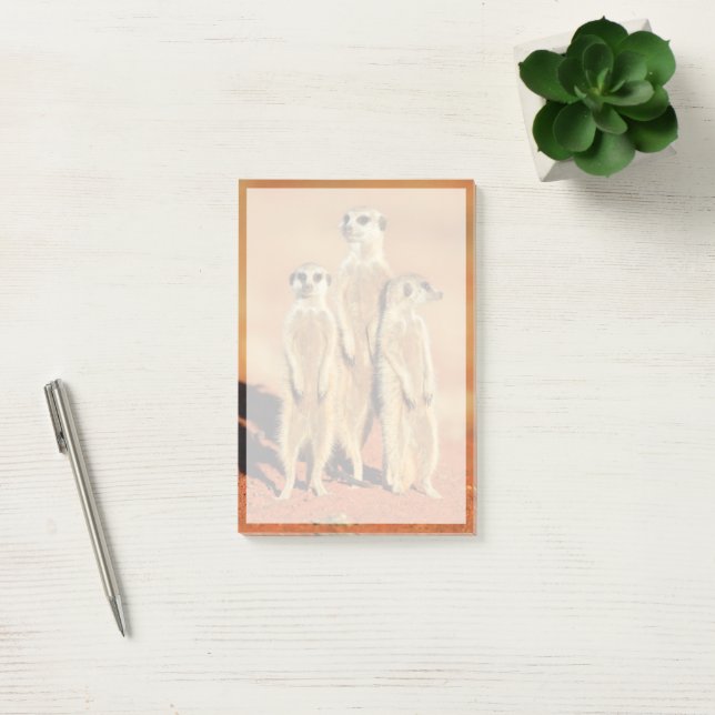 Cutest Baby Animals | 3 Meerkats Post-it Notes (Office)