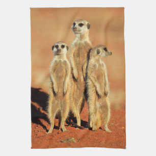 Cutest Baby Animals 3 Meerkats Tea Towel