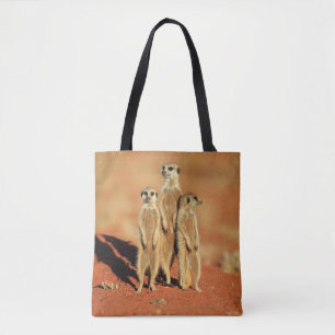 Cutest Baby Animals 3 Meerkats Tote Bag