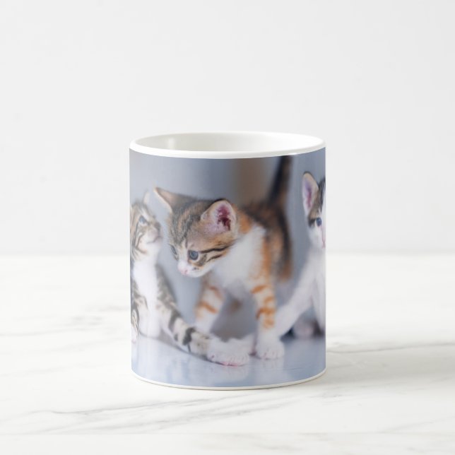 Cutest Baby Animals | 3 Tabby Kittens Coffee Mug (Center)