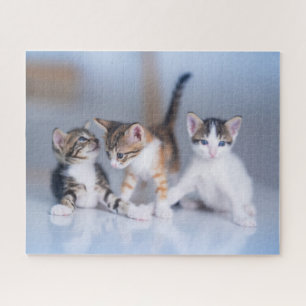 Cutest Baby Animals 3 Tabby Kittens Jigsaw Puzzle