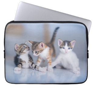 Cutest Baby Animals   3 Tabby Kittens Laptop Sleeve