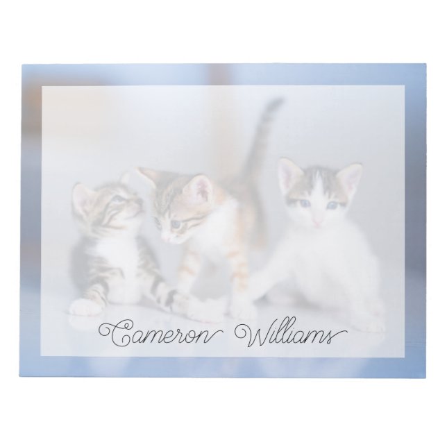 Cutest Baby Animals | 3 Tabby Kittens Notepad (Front)