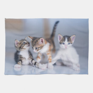 Cutest Baby Animals 3 Tabby Kittens Tea Towel