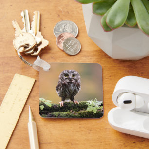 Cutest Baby Animals A Baby Owl Key Ring