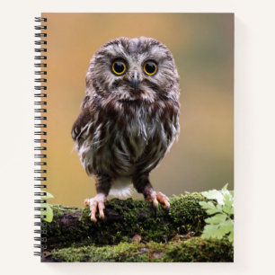 Cutest Baby Animals   A Baby Owl Notebook