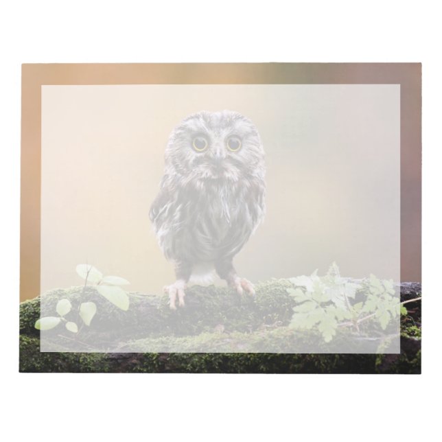 Cutest Baby Animals | A Baby Owl Notepad (Front)