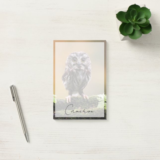 Cutest Baby Animals | A Baby Owl Post-it Notes (Office)