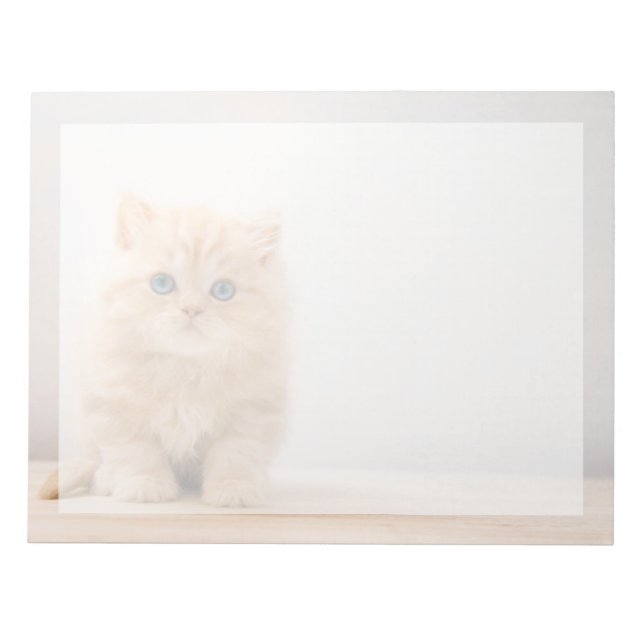 Cutest Baby Animals | A British Longhair Kitten Notepad (Front)