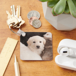 Cutest Baby Animals A Cute Pile of Puppies Key Ring