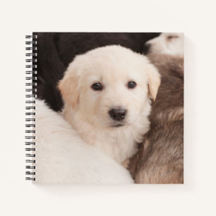 Cutest Baby Animals   A Cute Pile of Puppies Notebook