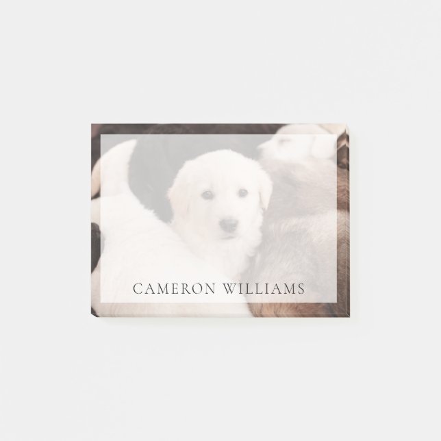 Cutest Baby Animals | A Cute Pile of Puppies Post-it Notes (Front)