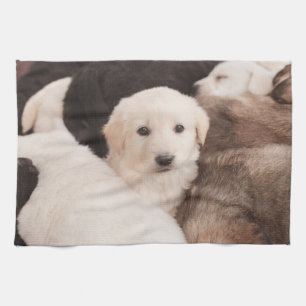 Cutest Baby Animals   A Cute Pile of Puppies Tea Towel
