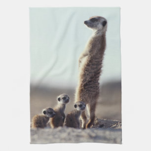 Cutest Baby Animals   A Family of Meerkats Tea Towel