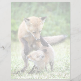 Cutest Baby Animals Adorable Fox Kit & Mama