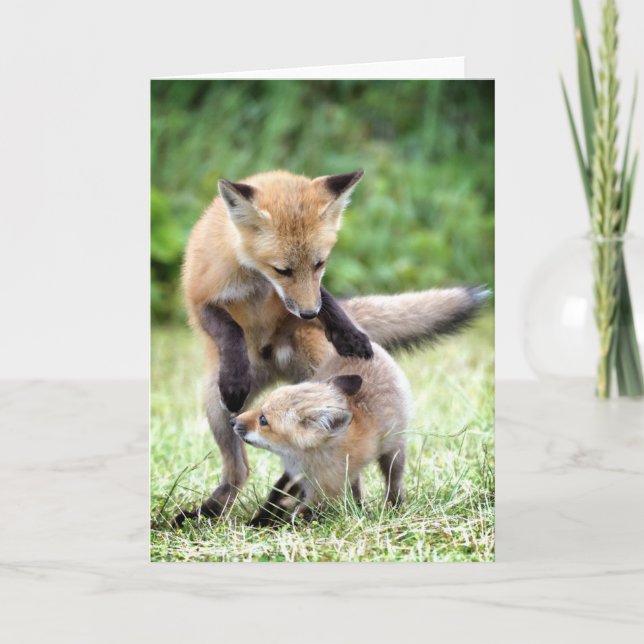 Cutest Baby Animals | Adorable Fox Kit & Mama Card (Front)