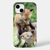 Cutest Baby Animals | Adorable Fox Kit & Mama