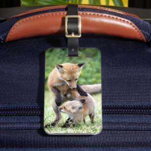 Cutest Baby Animals   Adorable Fox Kit & Mama Luggage Tag