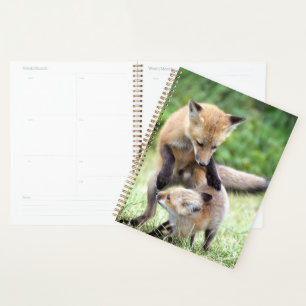 Cutest Baby Animals   Adorable Fox Kit & Mama Planner