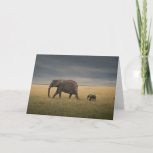 Cutest Baby Animals African Elephant Family Card
