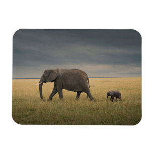 Cutest Baby Animals African Elephant Family Magnet