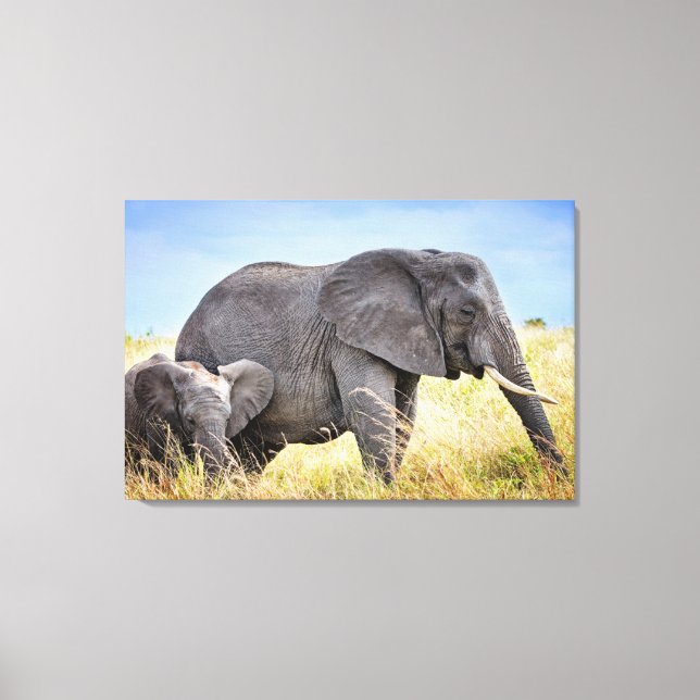 Cutest Baby Animals | African Elephant & Mother Canvas Print (Front)