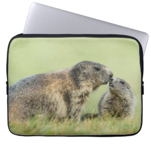 Cutest Baby Animals   Alpine Marmot Family Laptop Sleeve