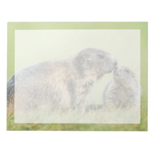 Cutest Baby Animals Alpine Marmot Family Notepad
