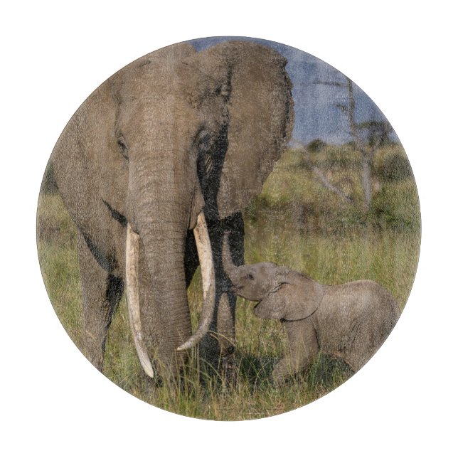 Cutest Baby Animals | Amama Elephant With Baby Cutting Board (Front)