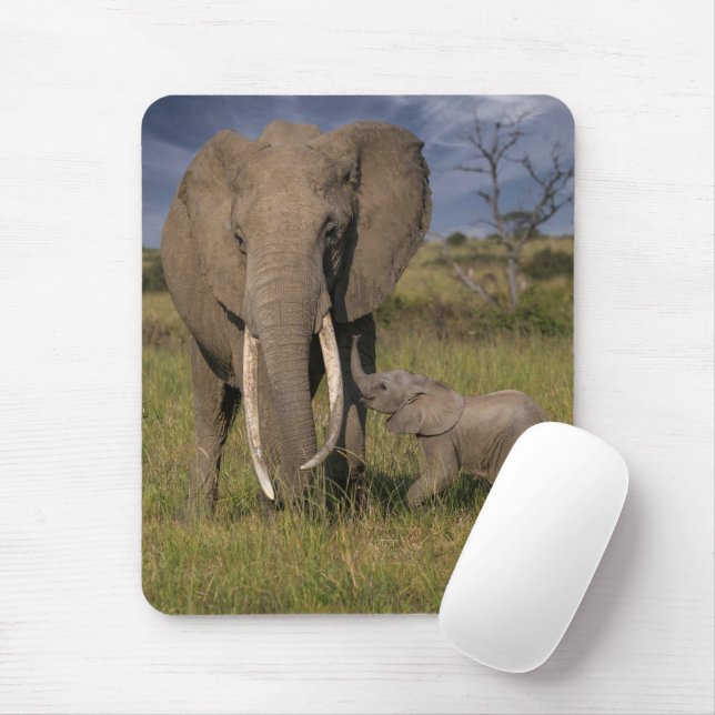Cutest Baby Animals | Amama Elephant With Baby Mouse Pad (With Mouse)