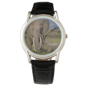 Cutest Baby Animals   Amama Elephant With Baby Watch
