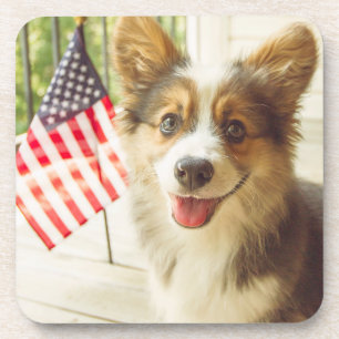Cutest Baby Animals   American Flag Corgi Coaster