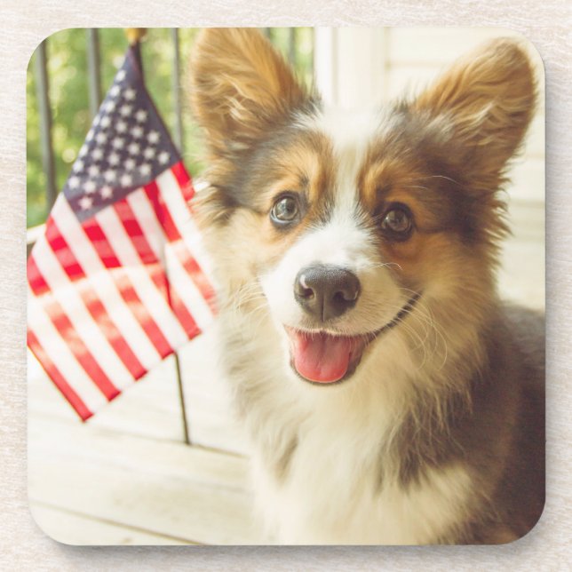 Cutest Baby Animals | American Flag Corgi Coaster (Front)