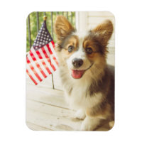 Cutest Baby Animals | American Flag Corgi