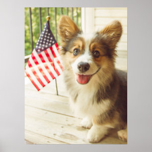 Cutest Baby Animals American Flag Corgi Poster