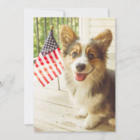 Cutest Baby Animals | American Flag Corgi