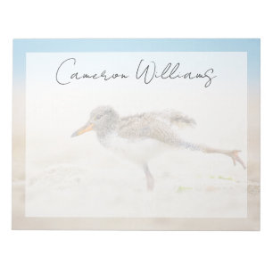 Cutest Baby Animals American Oystercatcher Chick Notepad
