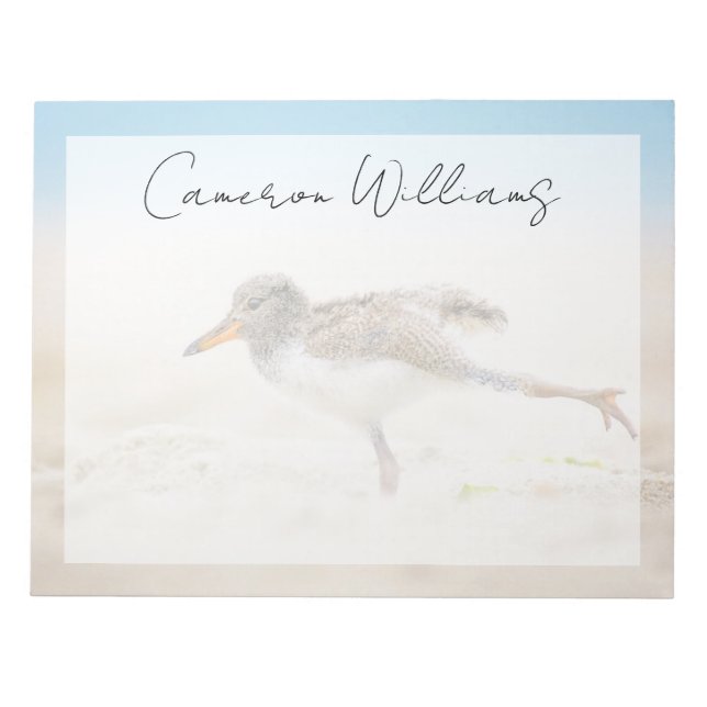 Cutest Baby Animals | American Oystercatcher Chick Notepad (Front)