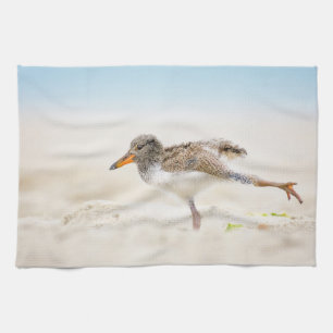Cutest Baby Animals American Oystercatcher Chick Tea Towel