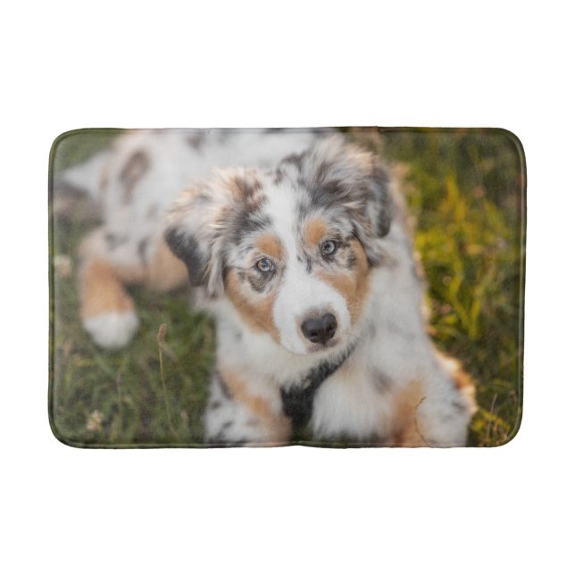 Cutest Baby Animals | Australian Shepherd Puppy Bath Mat (Front)