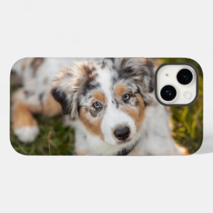 Cutest Baby Animals   Australian Shepherd Puppy Case-Mate iPhone 14 Case