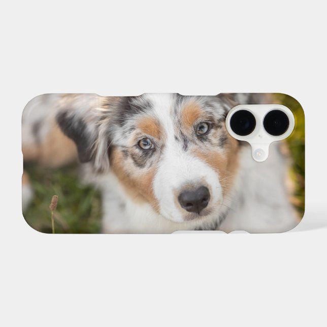 Cutest Baby Animals | Australian Shepherd Puppy iPhone Case (Back Horizontal)