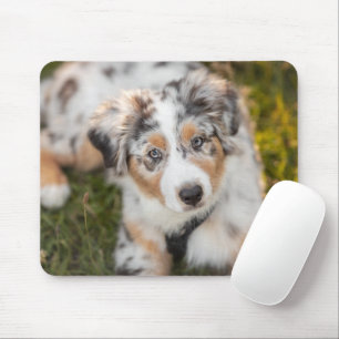 Cutest Baby Animals   Australian Shepherd Puppy Mouse Pad
