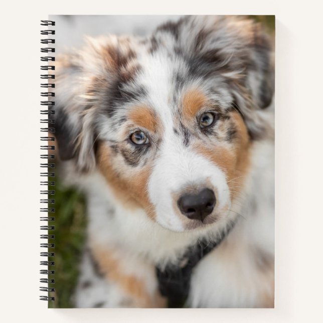 Cutest Baby Animals | Australian Shepherd Puppy Notebook (Front)