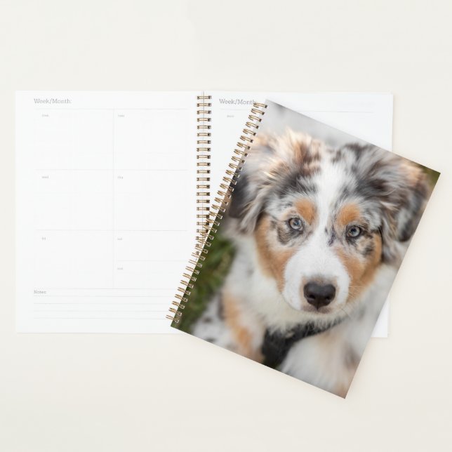 Cutest Baby Animals | Australian Shepherd Puppy Planner (Display)